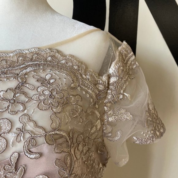 JS Collections Nude Floral Overlay Dress - Picture 3 of 6